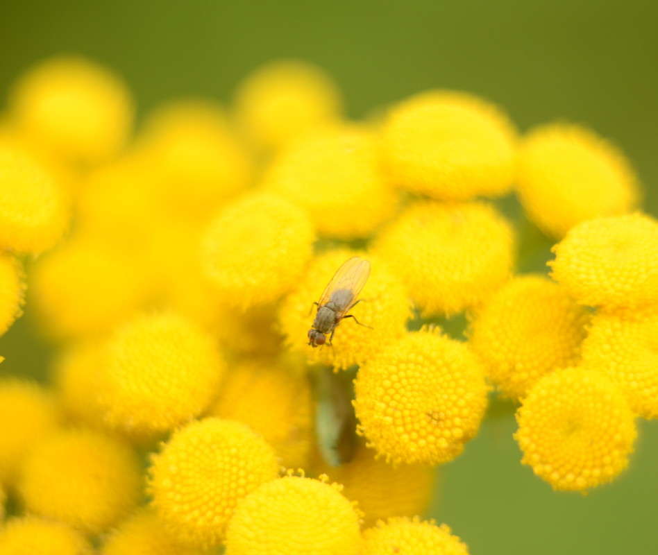 ...�����...:) ����� ��������� �������  �� PhotoGeek.ru #����� #�������� ���