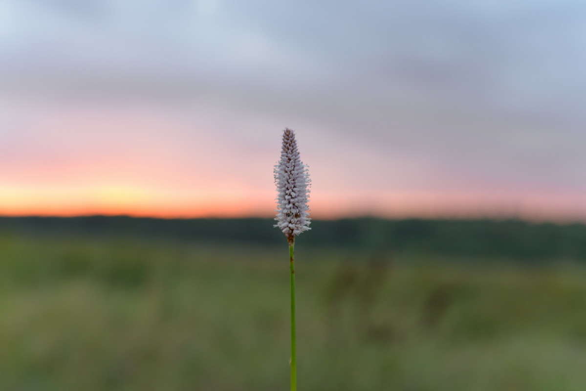 ...��������.. ����� ��������� �������  �� PhotoGeek.ru #������ ��� �������