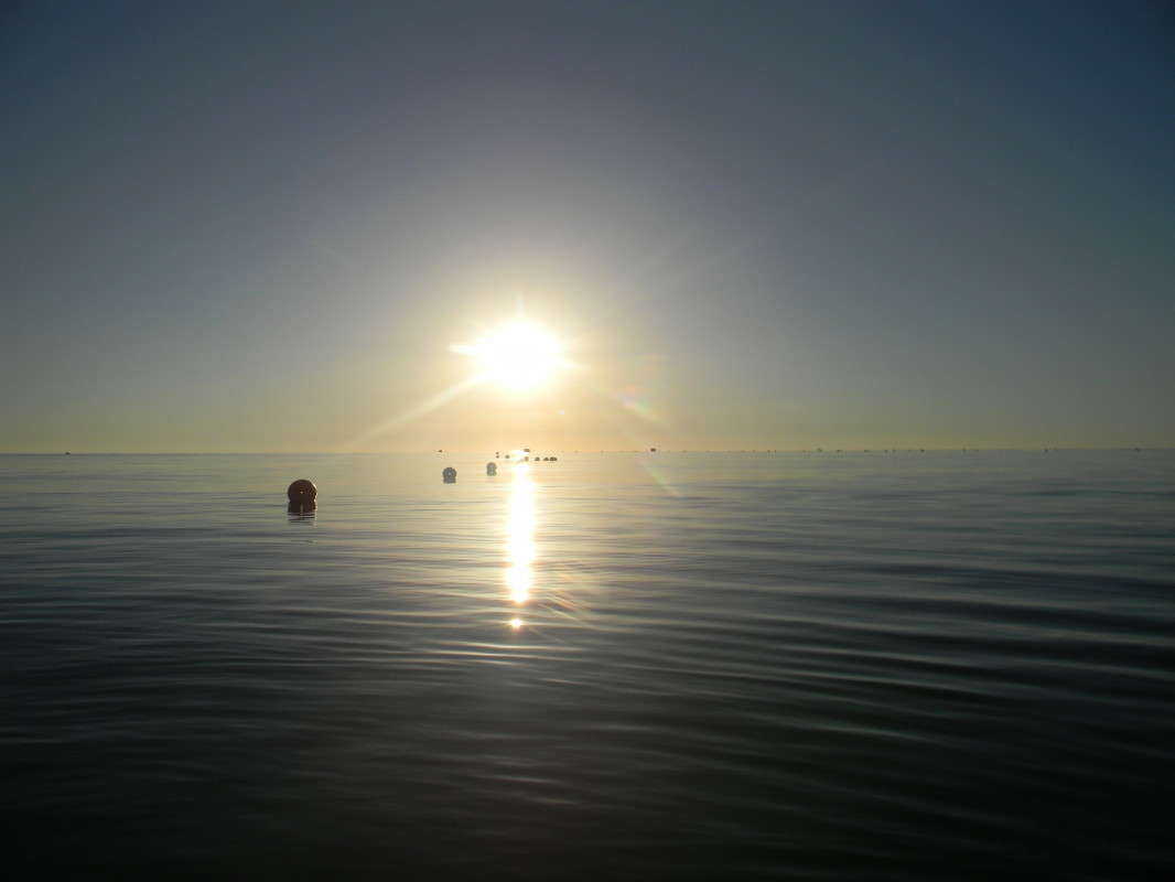 ... ����� ��������� �������  �� PhotoGeek.ru #�����