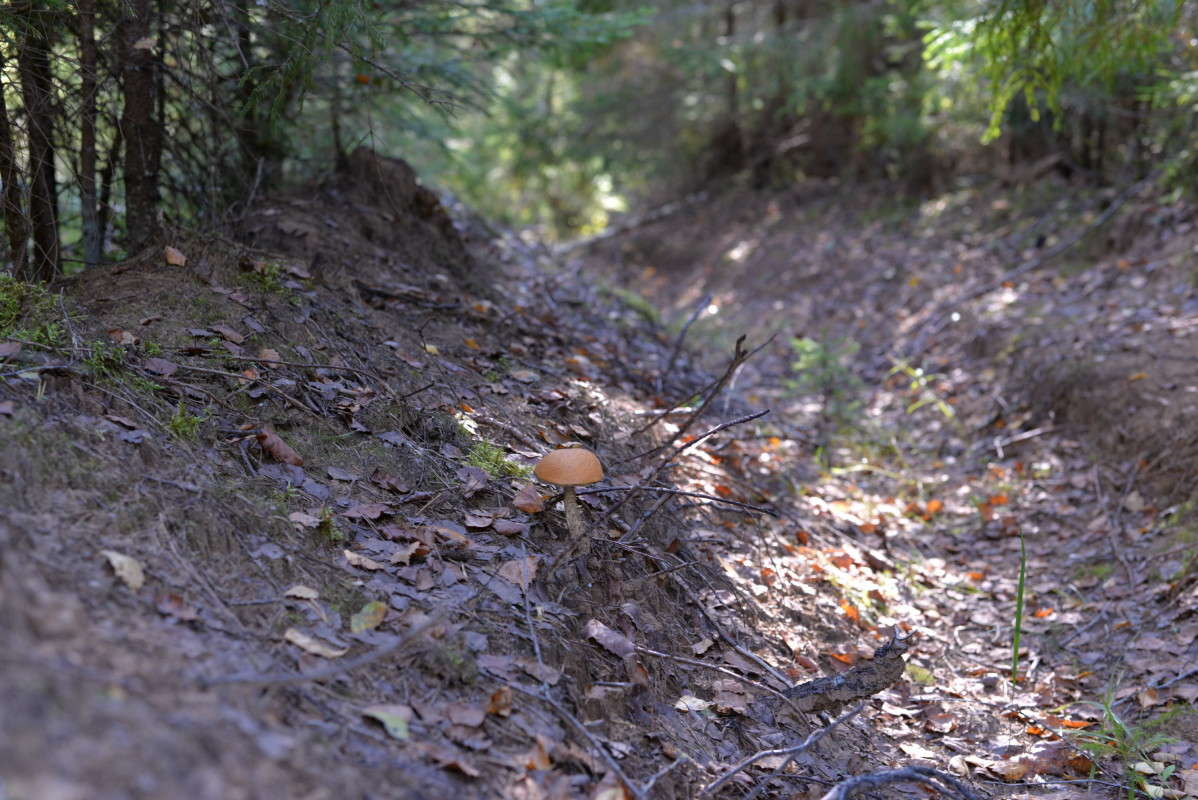 ...�����... ����� ��������� �������  �� PhotoGeek.ru #������ ��� �������