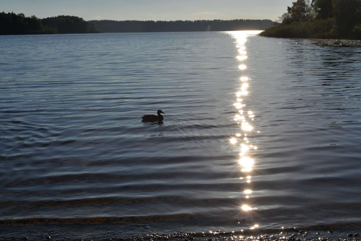 ...����� �����.. ����� ��������� �������  �� PhotoGeek.ru #������ ��� �������