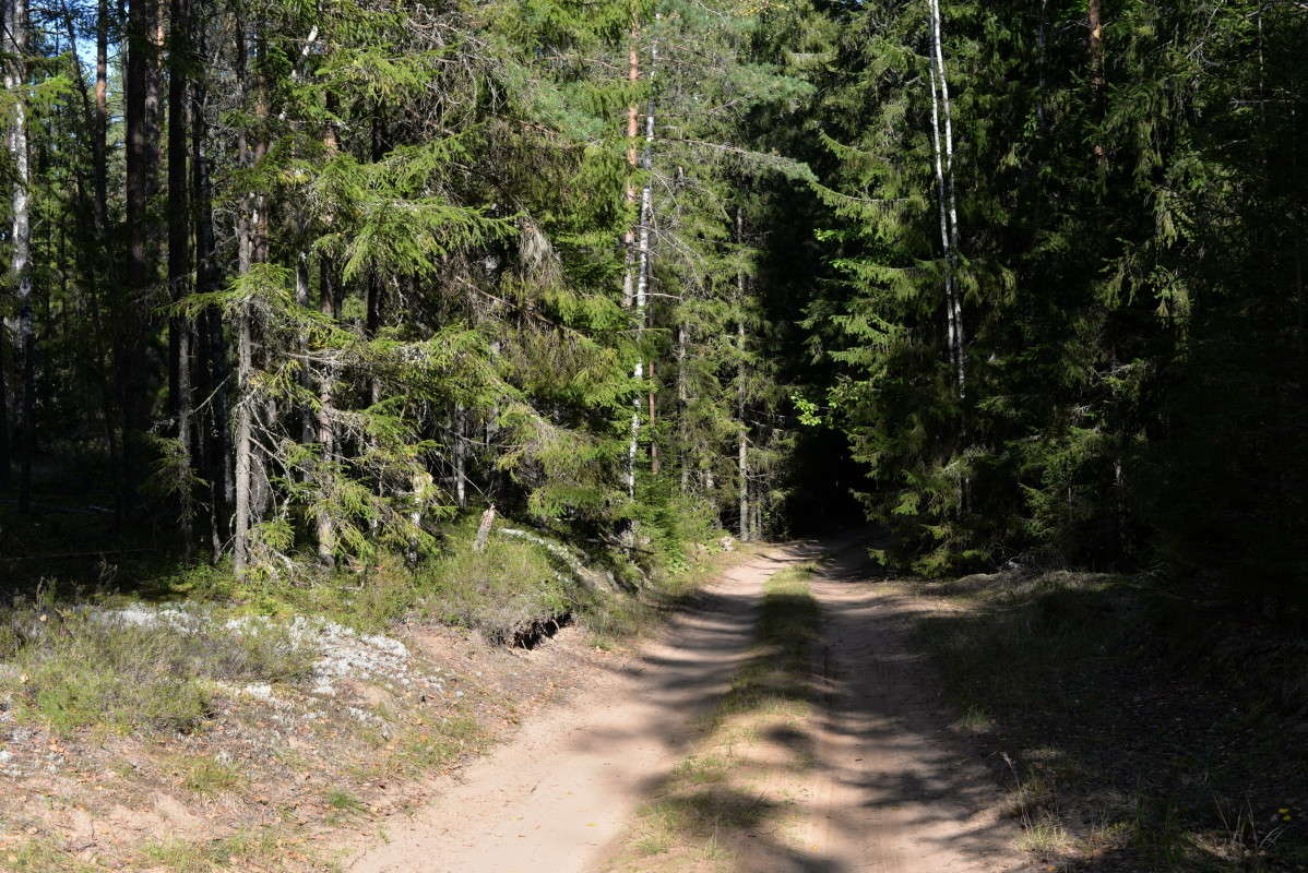 ....������... ����� ��������� �������  �� PhotoGeek.ru #������ ��� �������