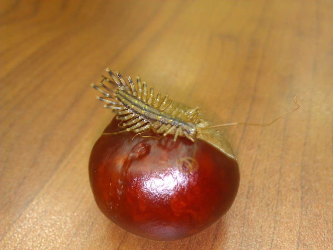 ...��� �� ����- ���?,,, ����� ��������� �������  �� PhotoGeek.ru #�����