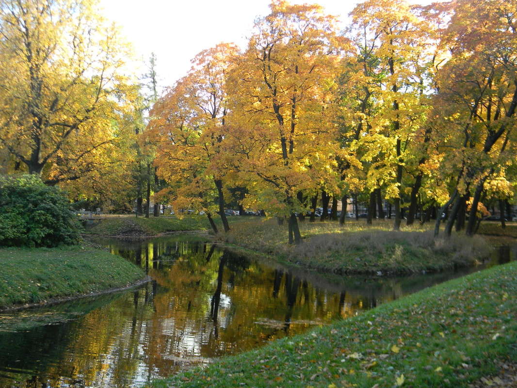 ������ ����� � ����������� ����... ����� ��������� �������  �� PhotoGeek.ru #������ ��� �������