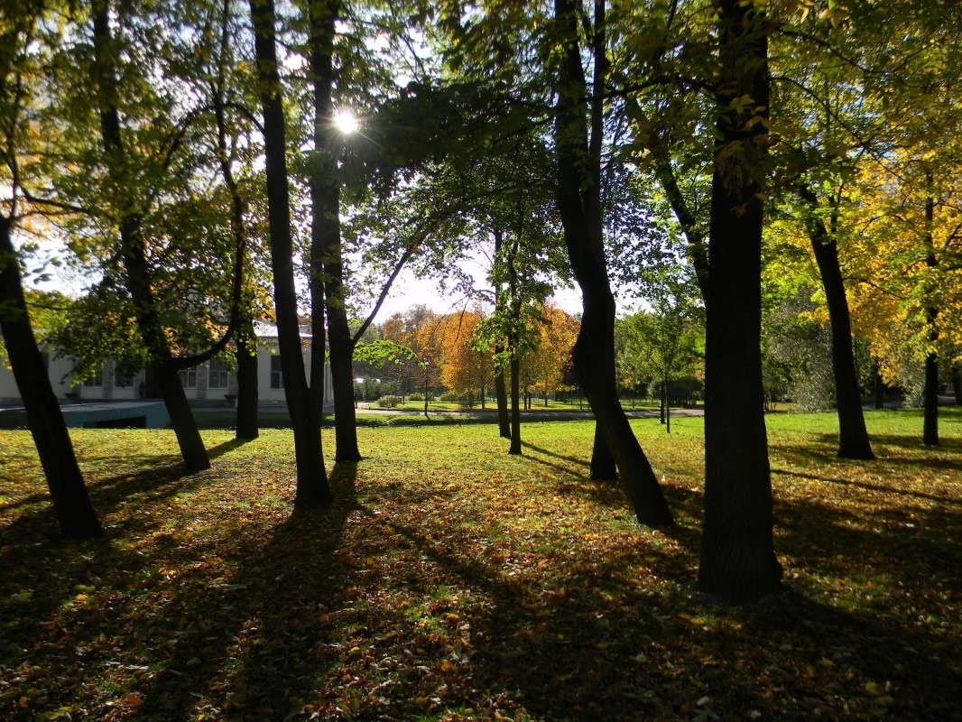 ...����������� ��������... ����� ��������� �������  �� PhotoGeek.ru #������ ��� �������