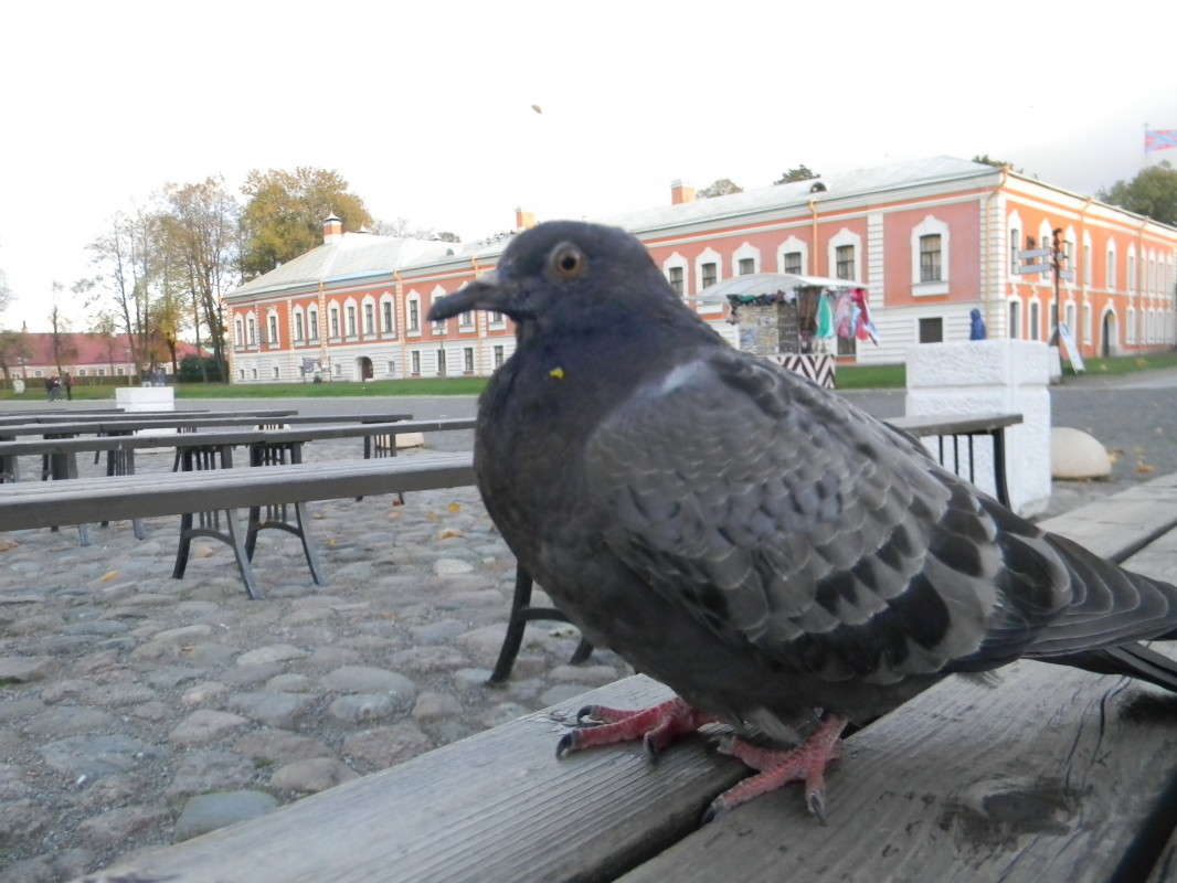 ...�� ������ ��������.)))) ����� ��������� �������  �� PhotoGeek.ru #�����