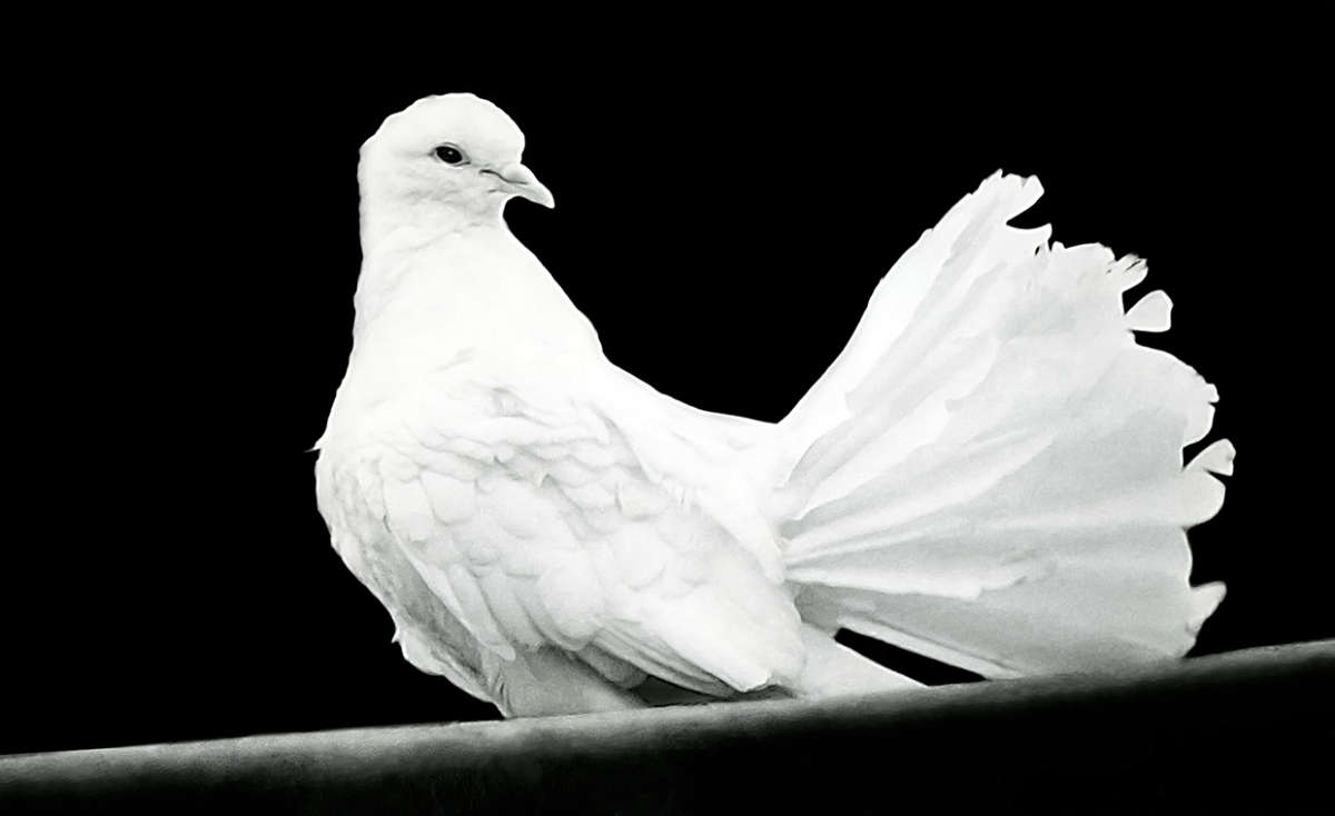 ������ ���� ����� ������ ���������� �� PhotoGeek.ru #�������� ���