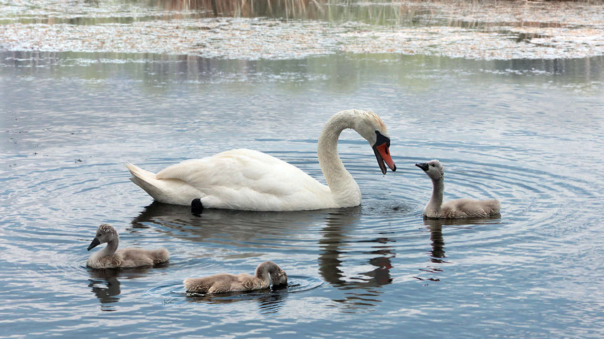 ������ ����� ����� ������ ���������� �� PhotoGeek.ru #�������� ���