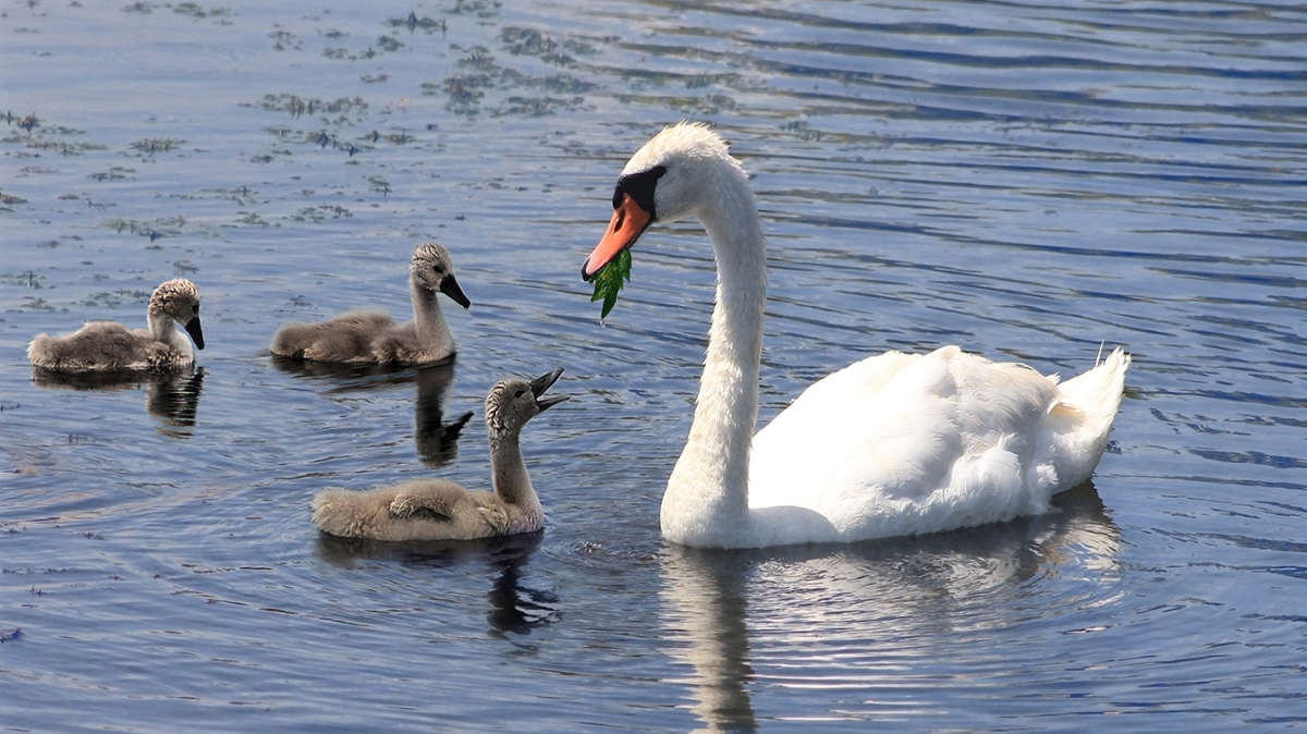 ����� ���� ����� ������ ���������� �� PhotoGeek.ru #�������� ���