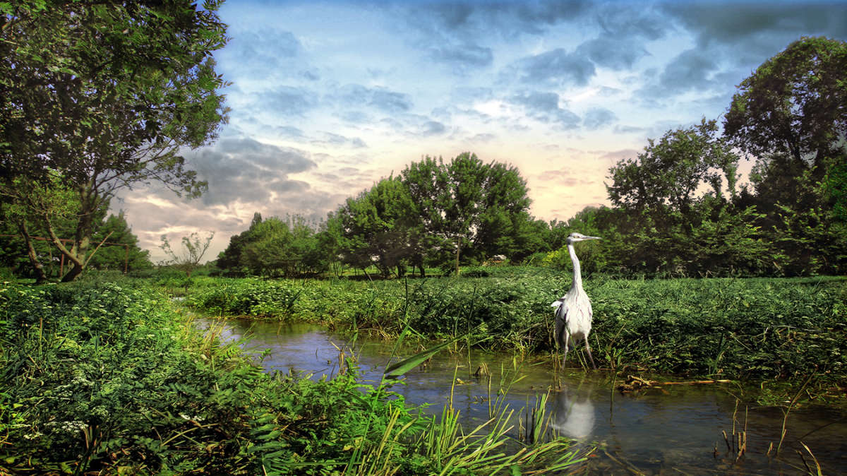 ����� ����� �� ����� ����� ������ ���������� �� PhotoGeek.ru #�������� ���