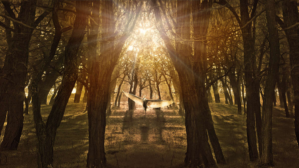 �������� ����� ����� ������ ���������� �� PhotoGeek.ru #�������� ���