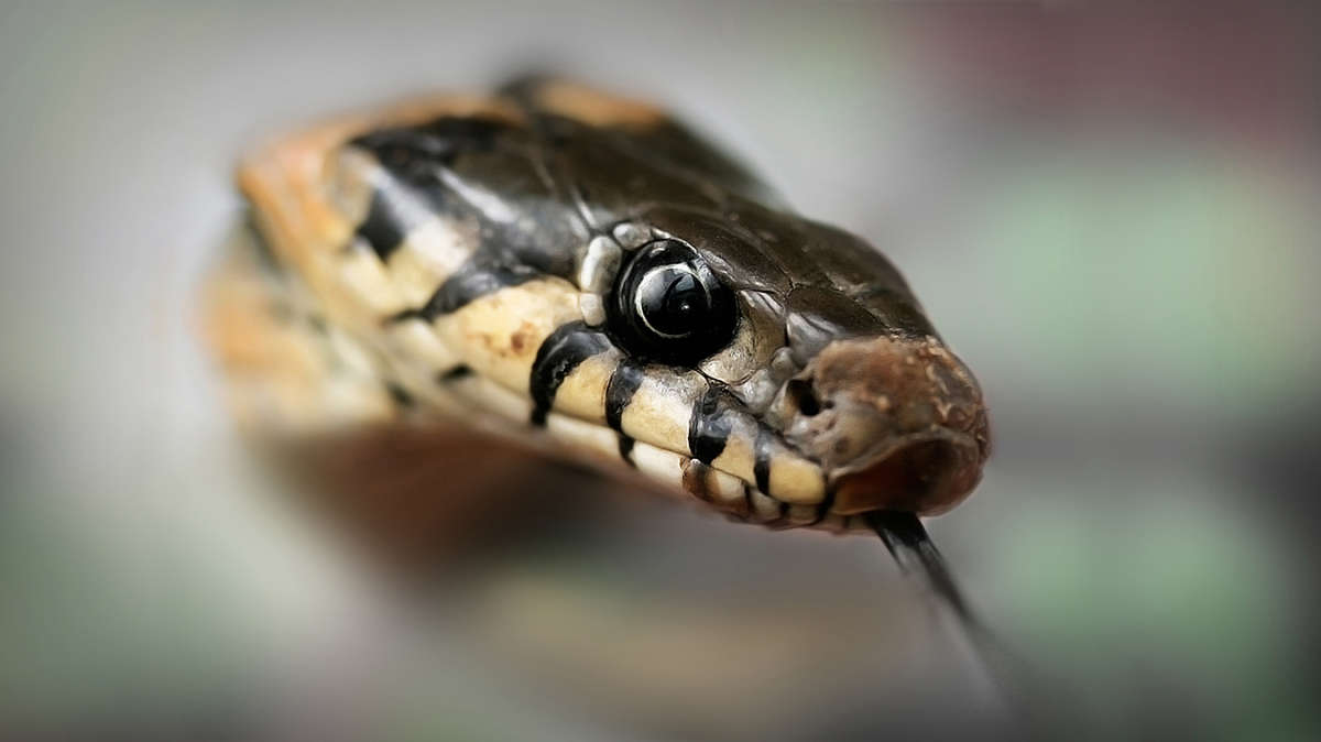 ������� ����� ������ ���������� �� PhotoGeek.ru #�������� ���