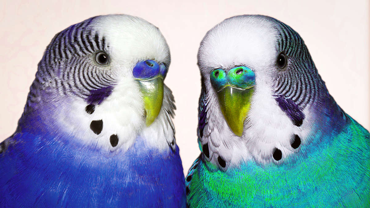 ������ �������� ����� ������ ���������� �� PhotoGeek.ru #�������� ���