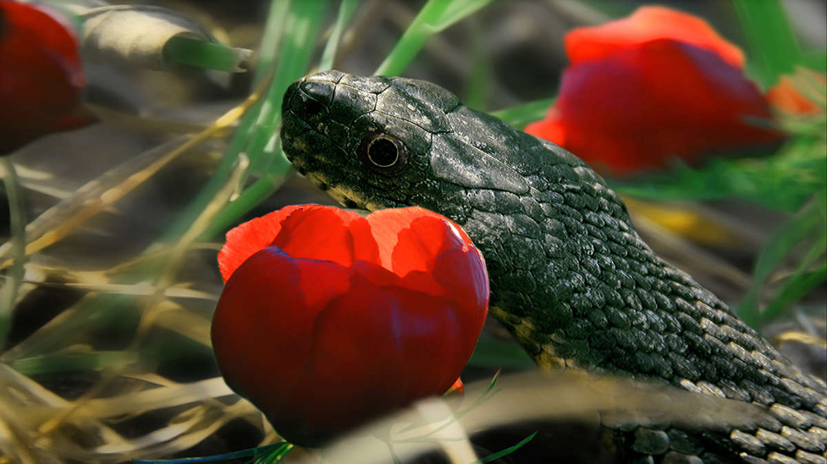 ����� ��������� ����� ������ ���������� �� PhotoGeek.ru #�������� ���