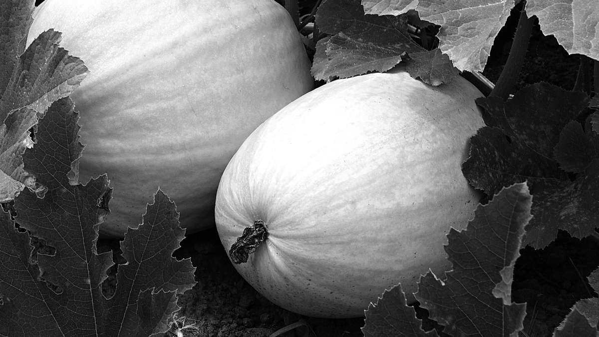 ����� ����� ������ �������� �� PhotoGeek.ru #�� #������ ��� �������