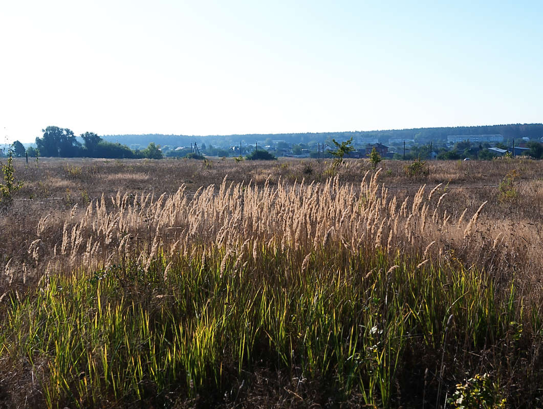 ��� ����� ������ �������� �� PhotoGeek.ru #������ ��� �������