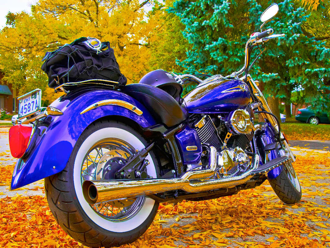 Yamaha ����� ����  �� PhotoGeek.ru #������ ��� �������