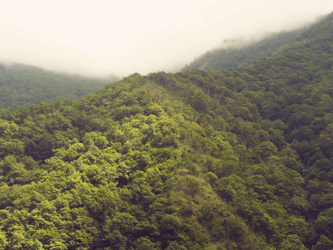 Гагрский хребет автор Nikita Sychev на PhotoGeek.ru #Пейзаж или природа #Абхазия #Гора #Деревья #Живая растительность #Небо #Облака #Озеро #Туман