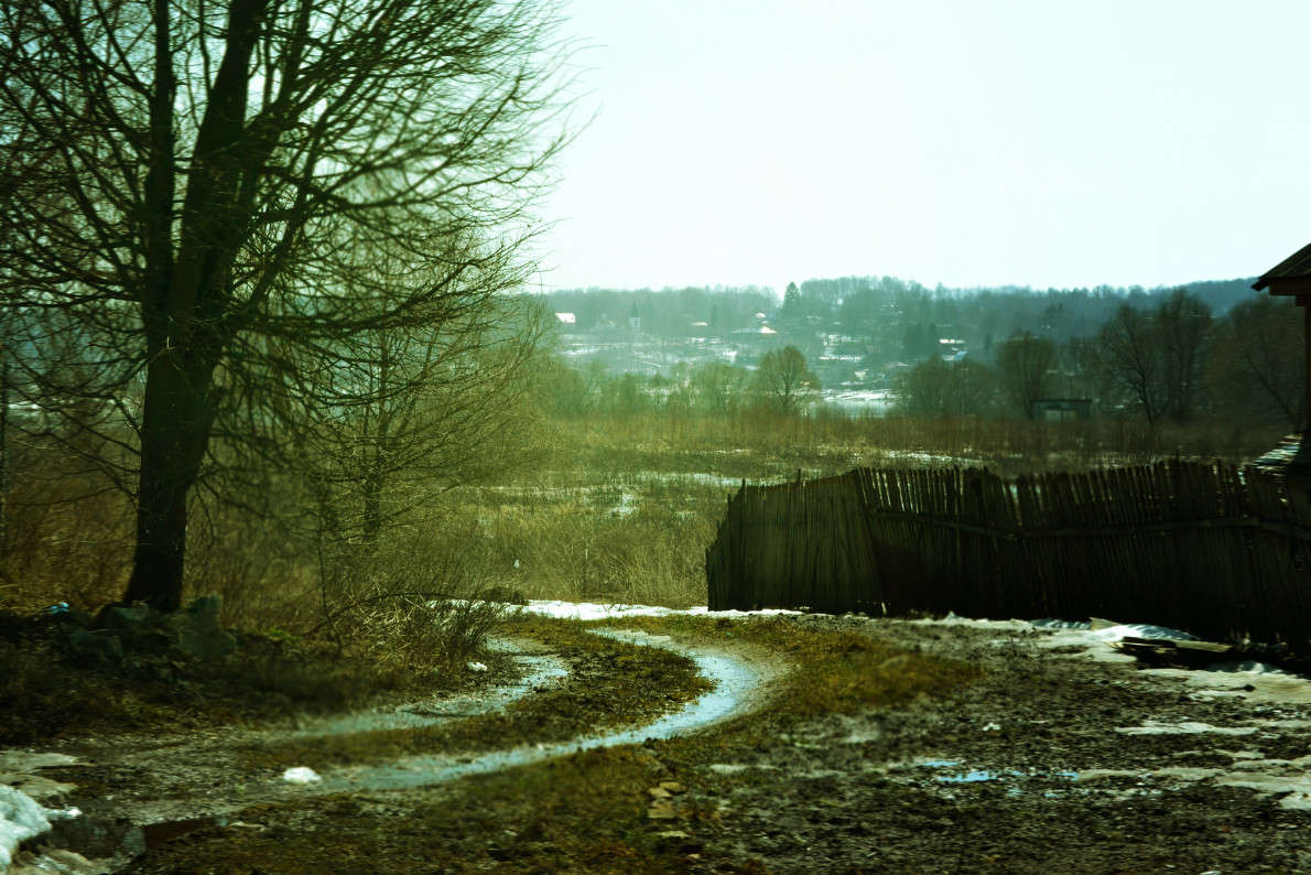 Прикосновение весны автор Nikita Sychev на PhotoGeek.ru #Животный мир #Пейзаж или природа #Жанровая фотография #Весна #Горизонт #Грязь #Живая растительность #Зима #Непостановочное #План #Разное #Свет #Цвет