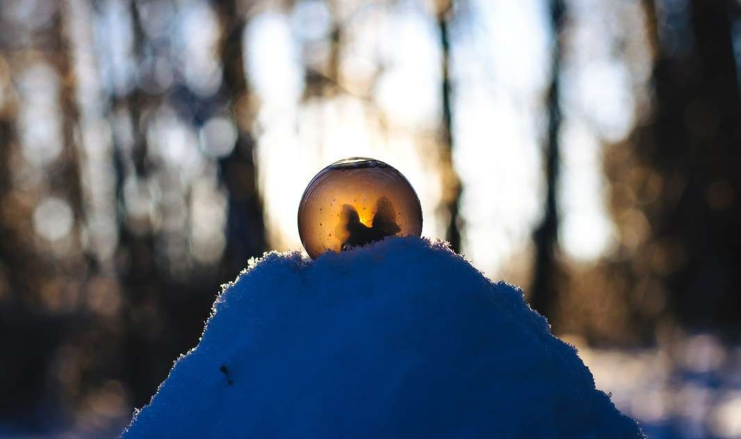Солнце в шаре автор Nikita Sychev на PhotoGeek.ru #Макро #Жанровая фотография #Абстракция #Зима #Лес #Постановочное #Природа #Свет #Снег #Солнце #Тепло #Шар