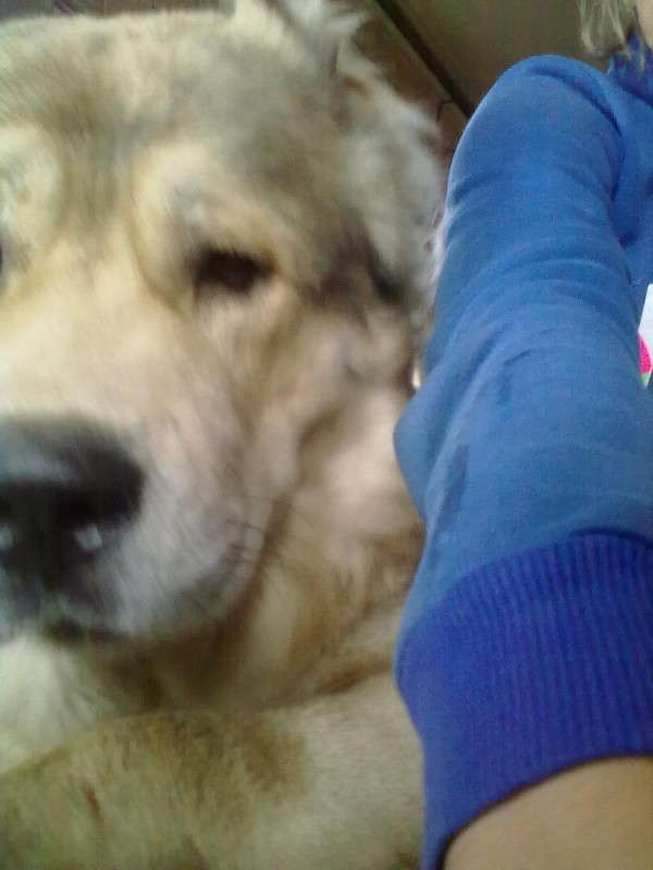 ... ����� ��������� ��������� �� PhotoGeek.ru #�������� ���