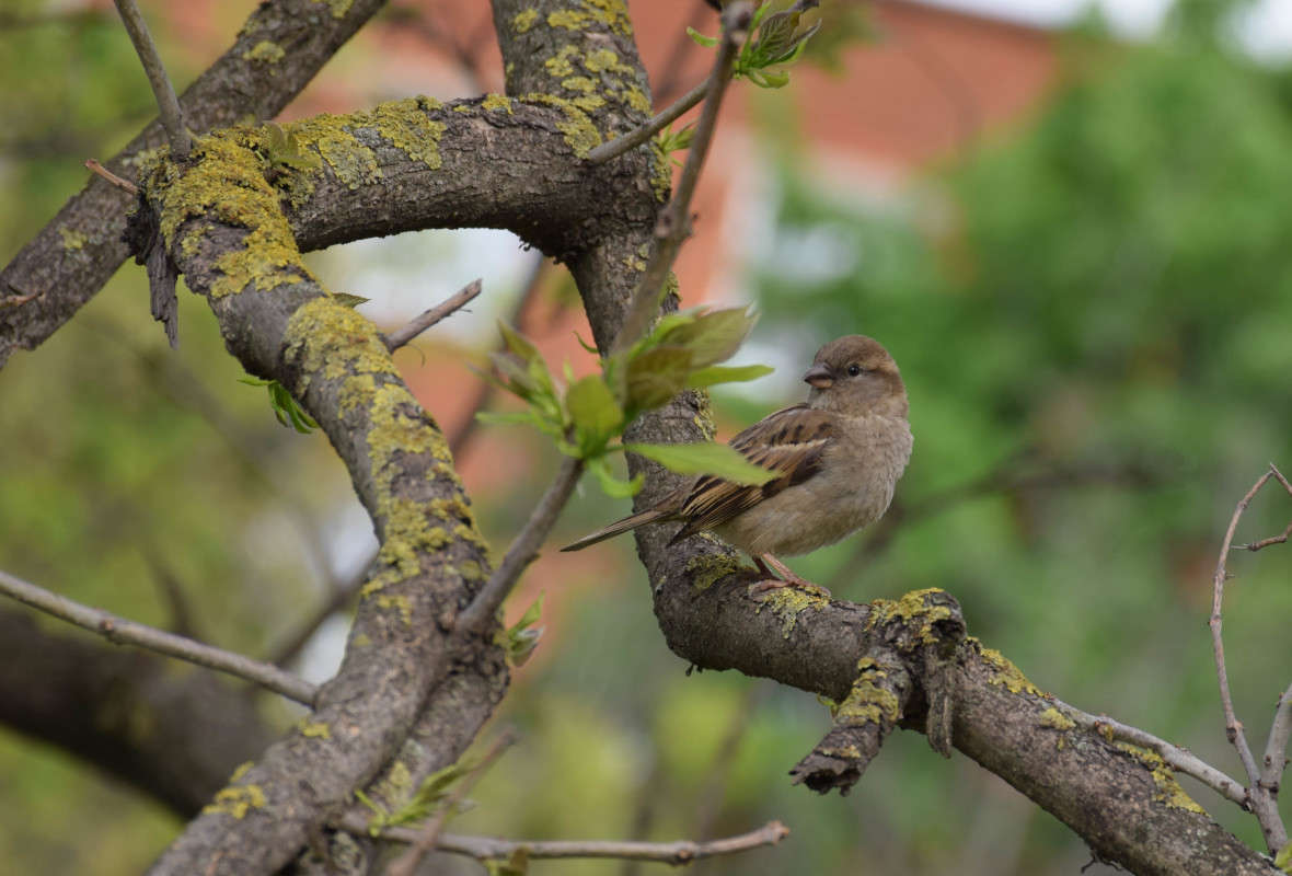������� ����� ��� ������� ��������� �� PhotoGeek.ru #�������� ���