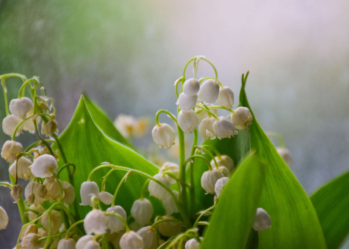 ������ ����� ��� ������� ��������� �� PhotoGeek.ru #������ ��� ������� #������