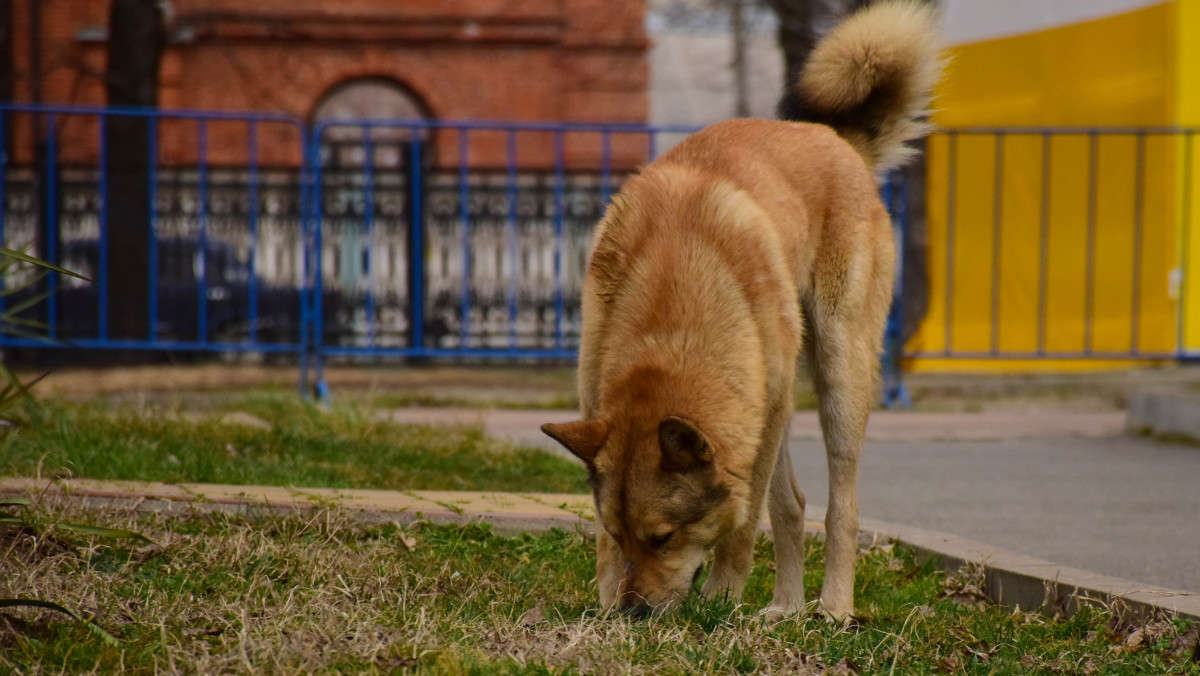 ����� ����� ��� ������� ��������� �� PhotoGeek.ru #�������� ��� #�������� ���