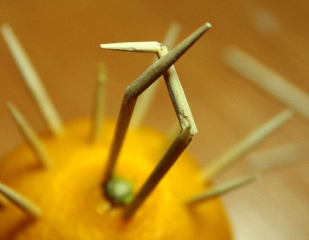 ������ ����� Helga Shumilova �� PhotoGeek.ru #����� #�������� ���������� #�������������