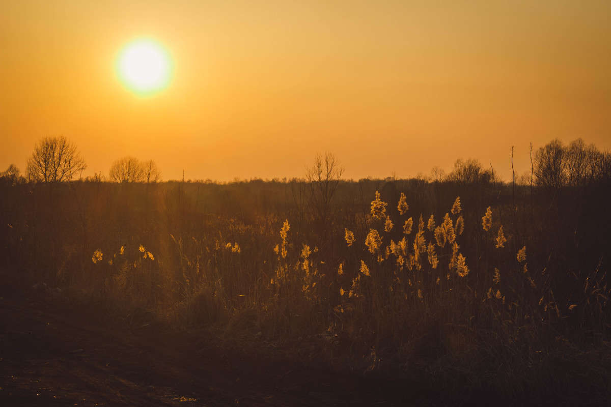 ... ����� ��������� ���������� �� PhotoGeek.ru #������ ��� �������