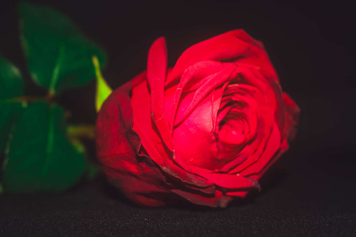 ... ����� ��������� ���������� �� PhotoGeek.ru #������ ��� ������� #����� ��������������