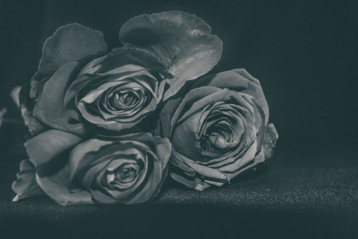 ... ����� ��������� ���������� �� PhotoGeek.ru #��������� #�����-�����