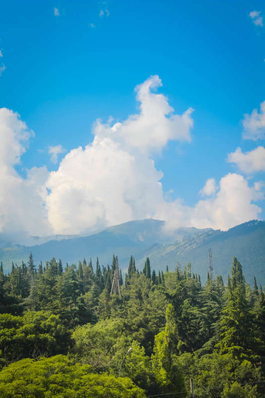 ���� ����� ��������� ���������� �� PhotoGeek.ru #������ ��� �������