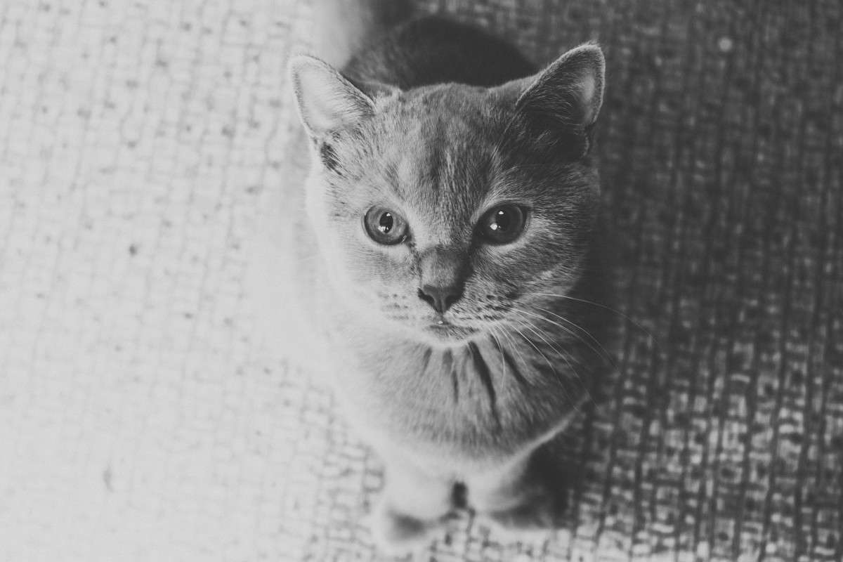 ��� ����� ��������� ���������� �� PhotoGeek.ru #�������� ��� #�������� ��� #�����-�����
