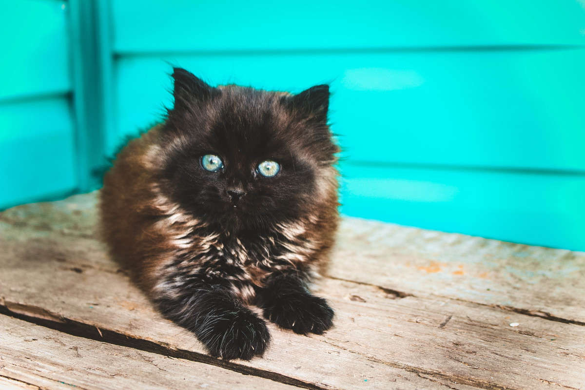 ������� ����� ��������� ���������� �� PhotoGeek.ru #�������� ��� #�������� ���