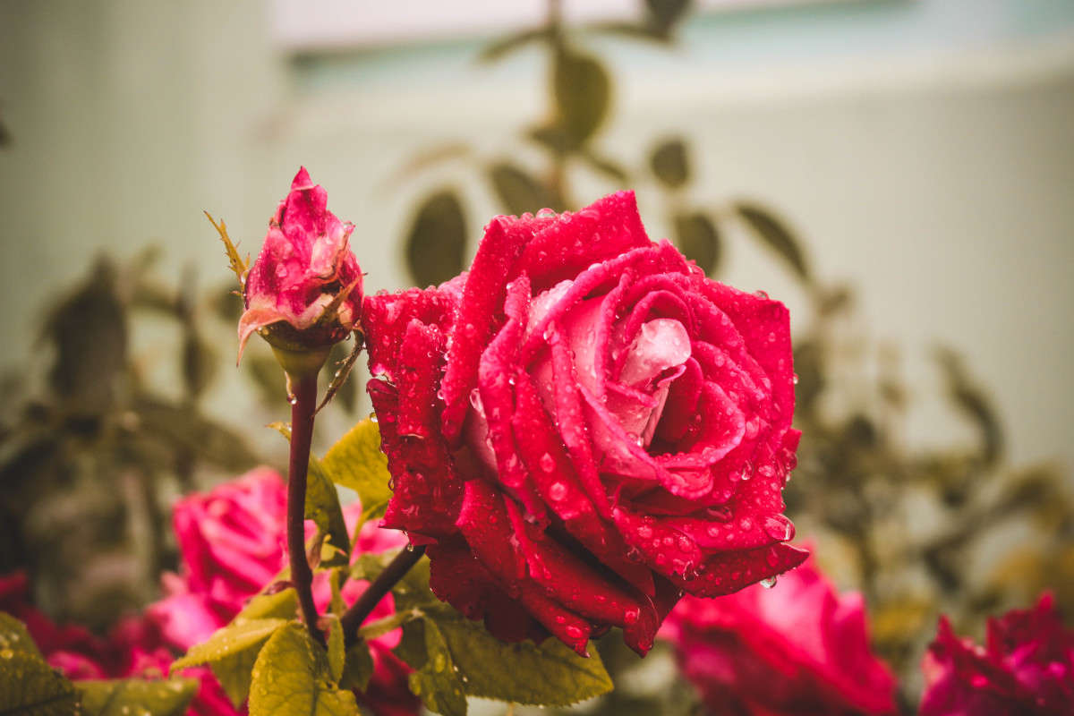 ... ����� ��������� ���������� �� PhotoGeek.ru #������ ��� ������� #����� ��������������