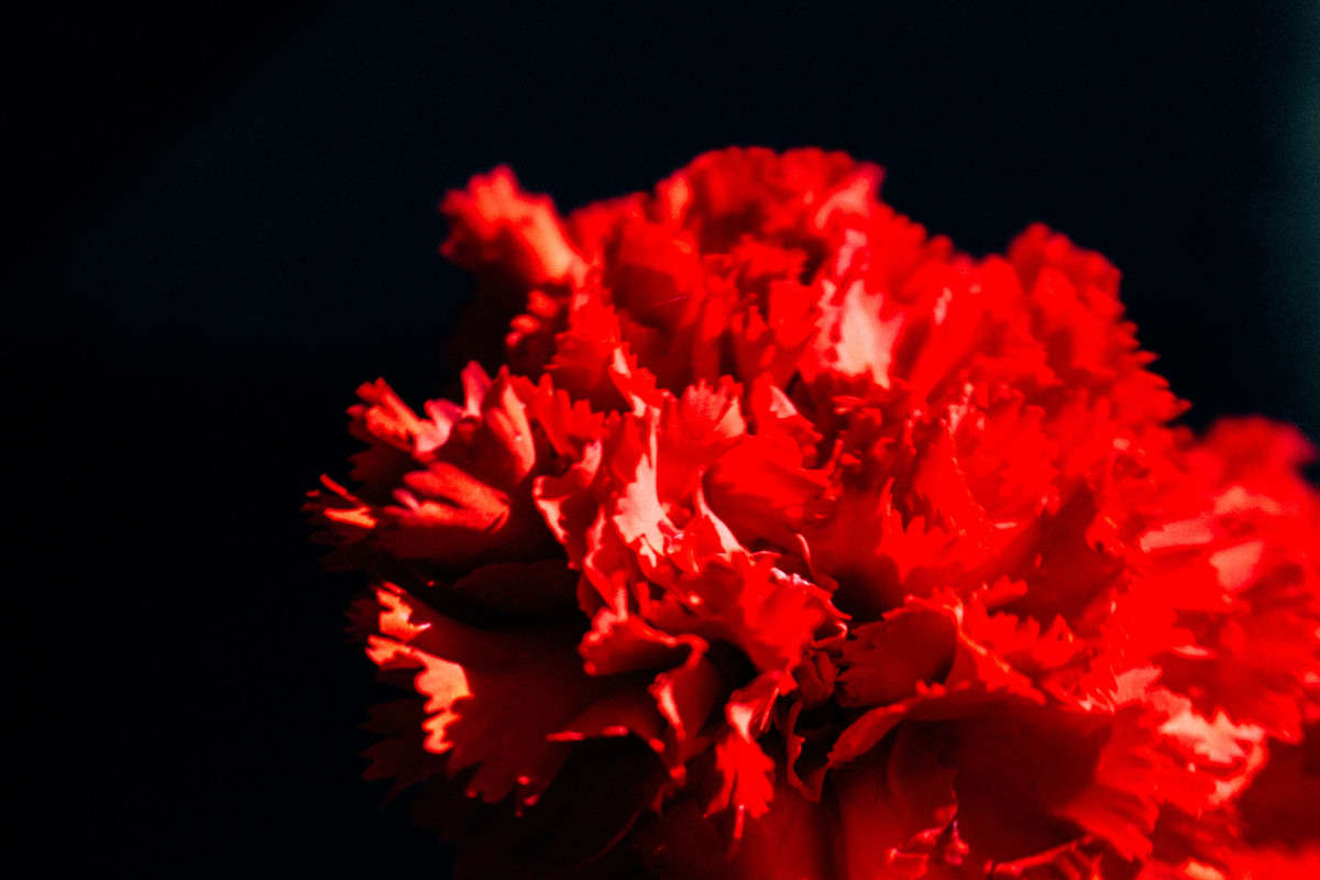 �������� ����� ��������� ���������� �� PhotoGeek.ru #����� #����� ��������������