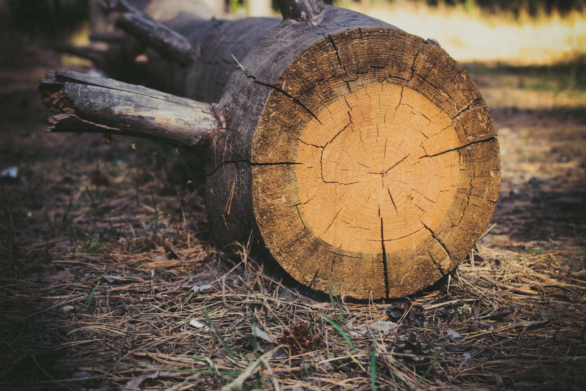 ������ ����� ��������� ���������� �� PhotoGeek.ru #������ ��� ������� #����� ��������