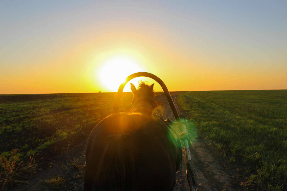 ����... ����� ��������� ���������� �� PhotoGeek.ru #�������� ��� #������ ��� �������