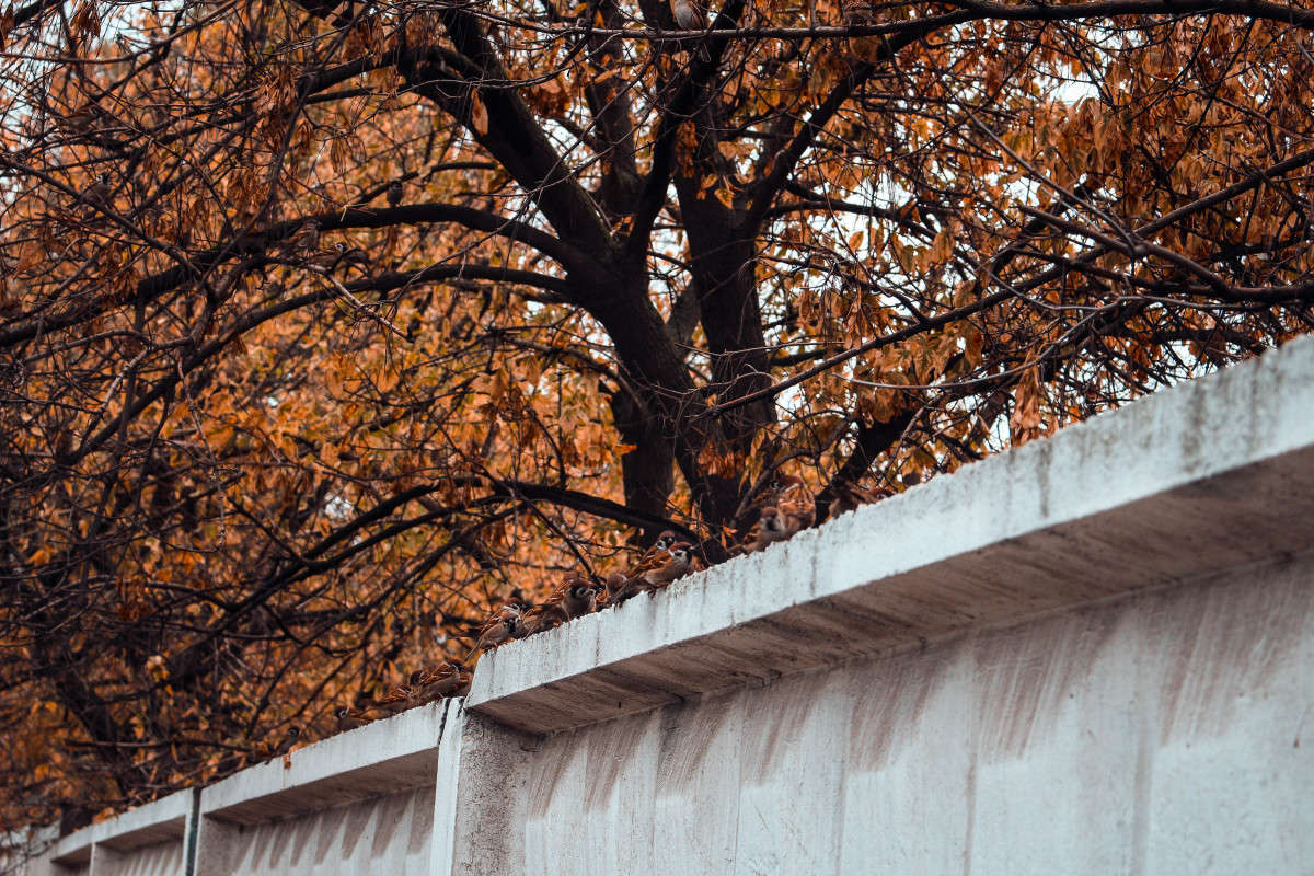 � ��� ����� ��������� ���������� �� PhotoGeek.ru #�������� ��� #����� ��� ��� ���������