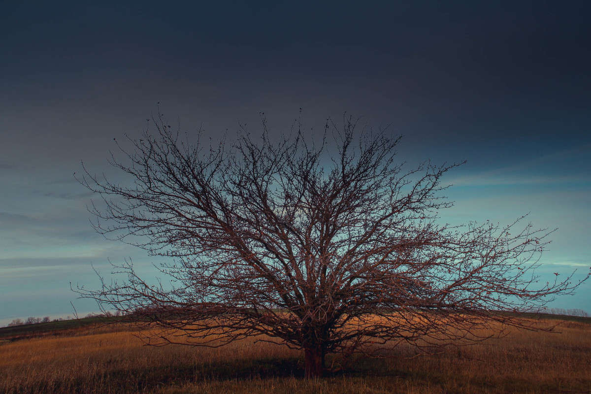 ����� ����� ��������� ���������� �� PhotoGeek.ru #������ ��� ������� #����� ��������