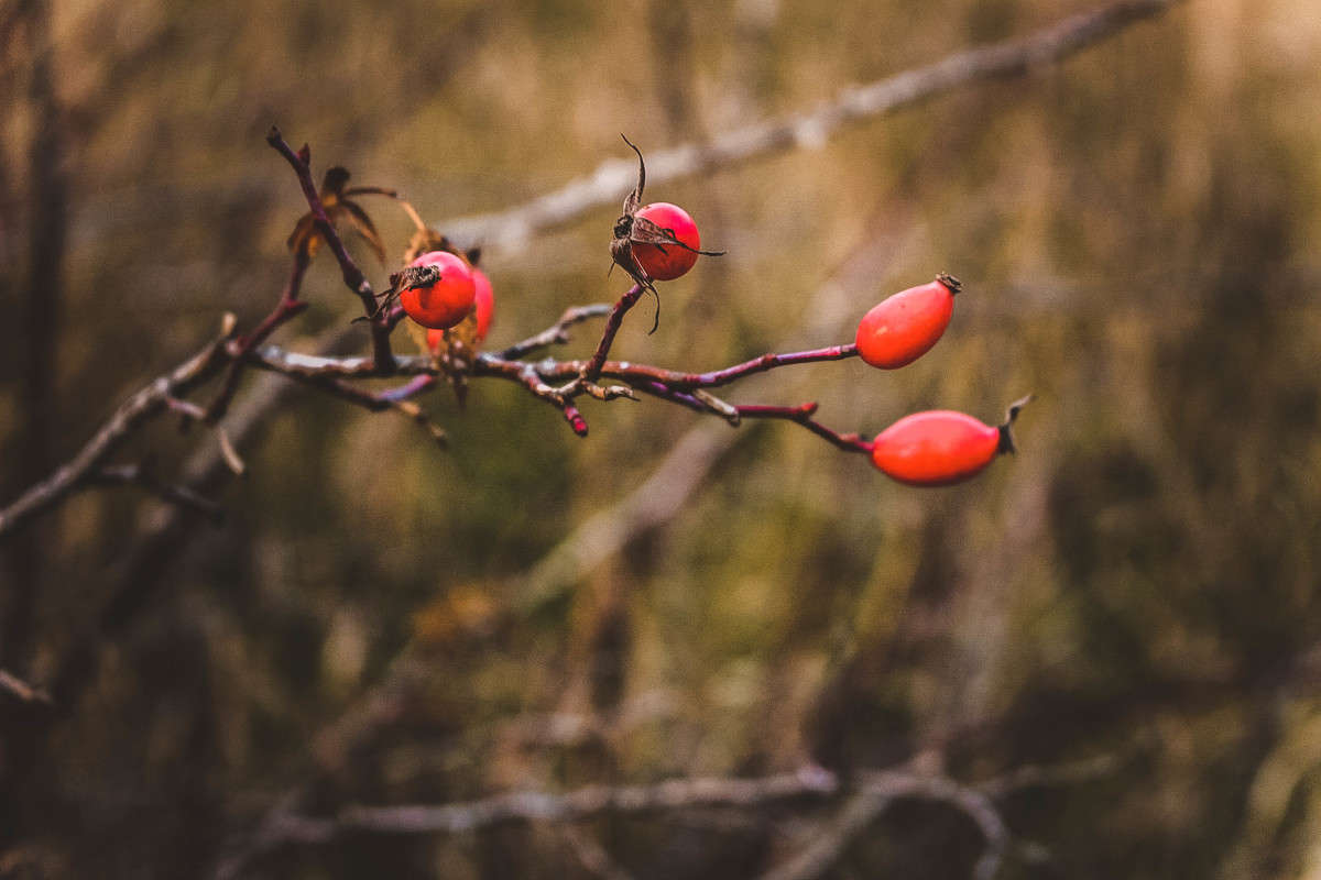 ����� ��������� ����� ��������� ���������� �� PhotoGeek.ru #������ ��� ������� #����� ��������������