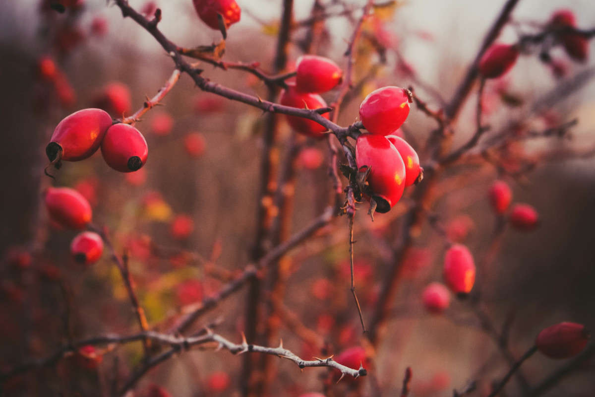 � ����� ������ ����� ��������� ���������� �� PhotoGeek.ru #������ ��� ������� #����� ��������������