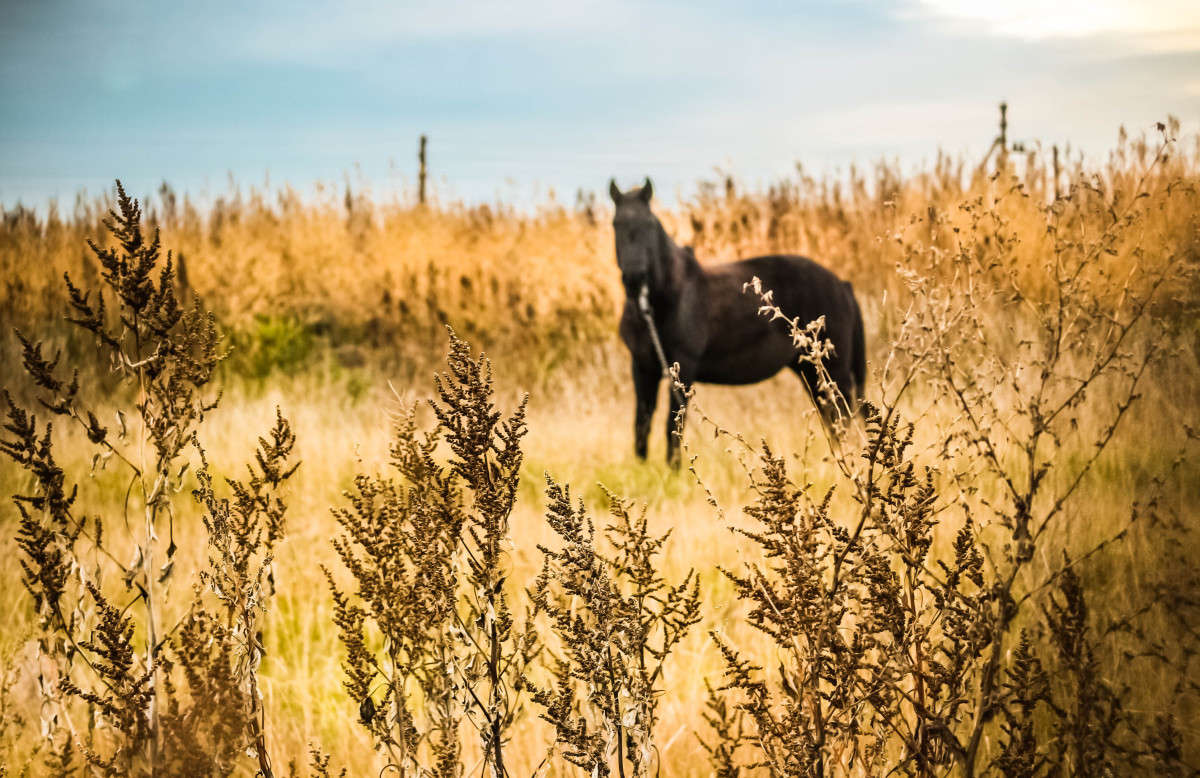 . ����� ��������� ���������� �� PhotoGeek.ru #�������� ���