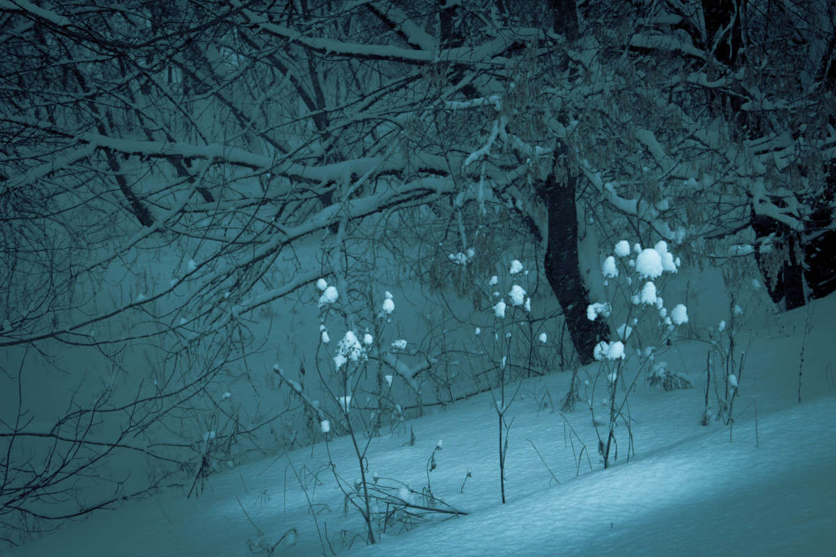 ������� ����� ��������� ���������� �� PhotoGeek.ru #������ ��� ������� #����� ��������