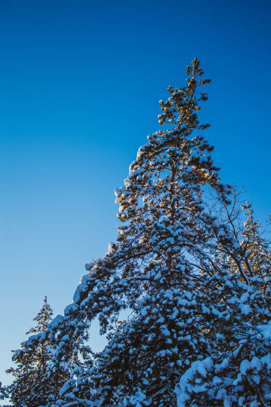 ... ����� ��������� ���������� �� PhotoGeek.ru #������ ��� ������� #����� ��������������