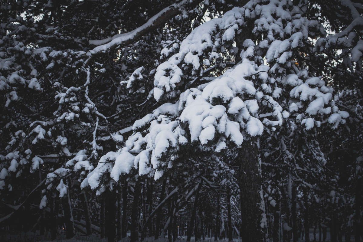 ������� ���� ����� ��������� ���������� �� PhotoGeek.ru #������ ��� ������� #����� �������������� #����� ��������