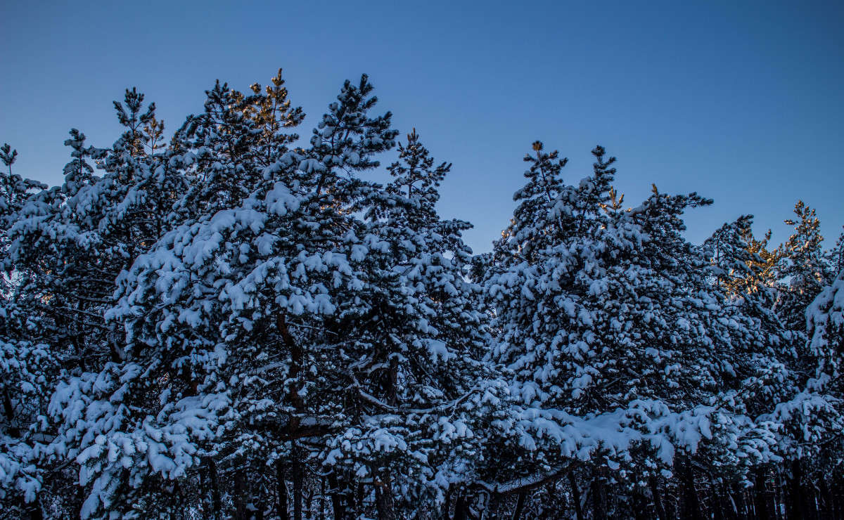 ������ ������2 ����� ��������� ���������� �� PhotoGeek.ru #������ ��� �������