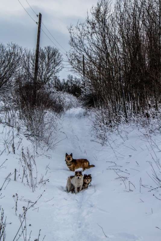 ������� ��������� ����� ��������� ���������� �� PhotoGeek.ru #�������� ���