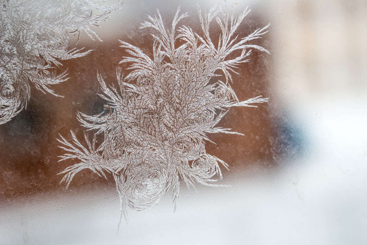 ������ ���� ����� ��������� ���������� �� PhotoGeek.ru #�������� ����������